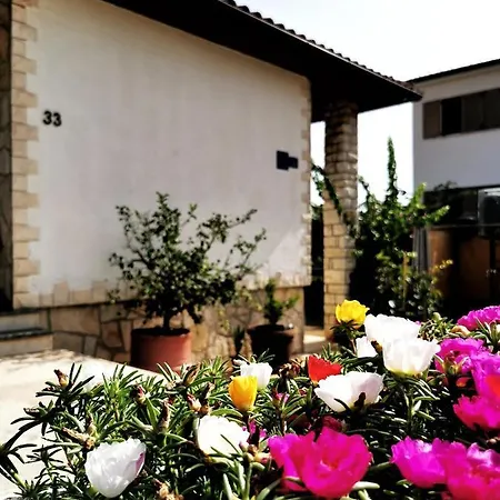 Silvana * Umag
